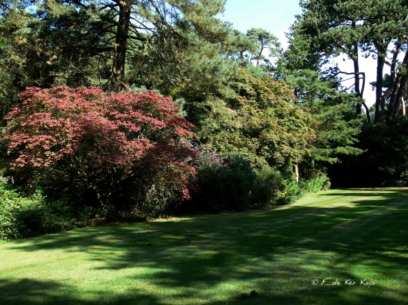 Bois des Moutiers  (49) Summer 2012